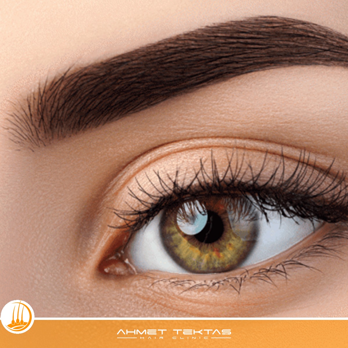 Nevşehir Kaş Ekimi